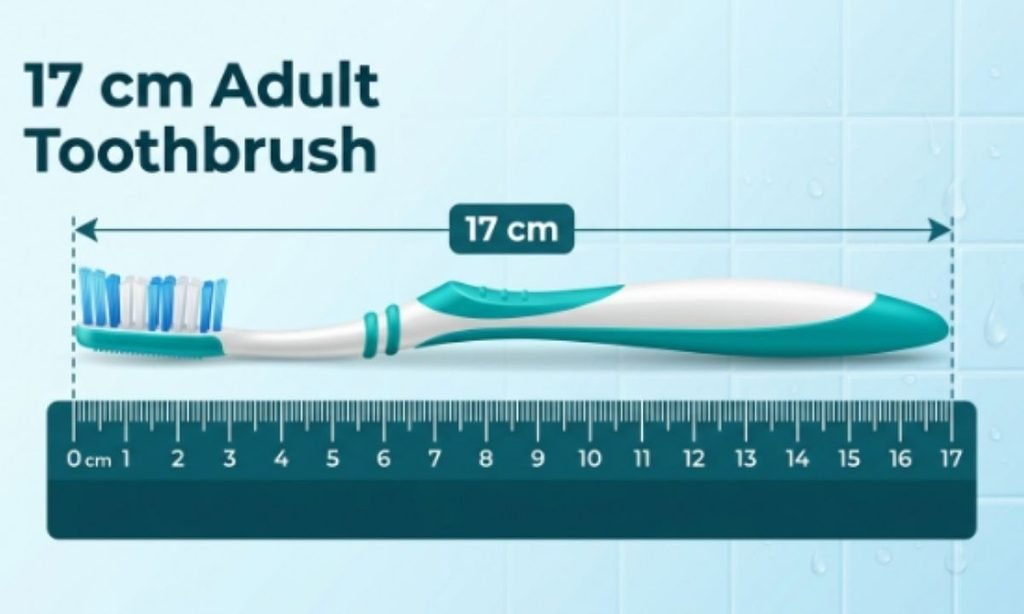 10. Adult Toothbrush