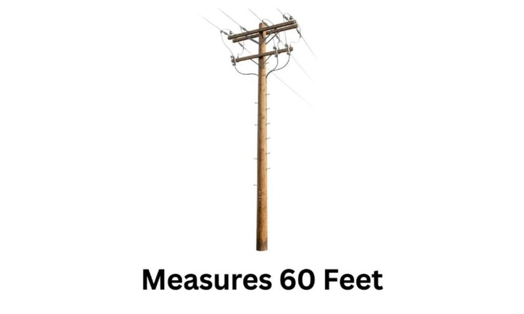Large Telephone Or Utility Pole